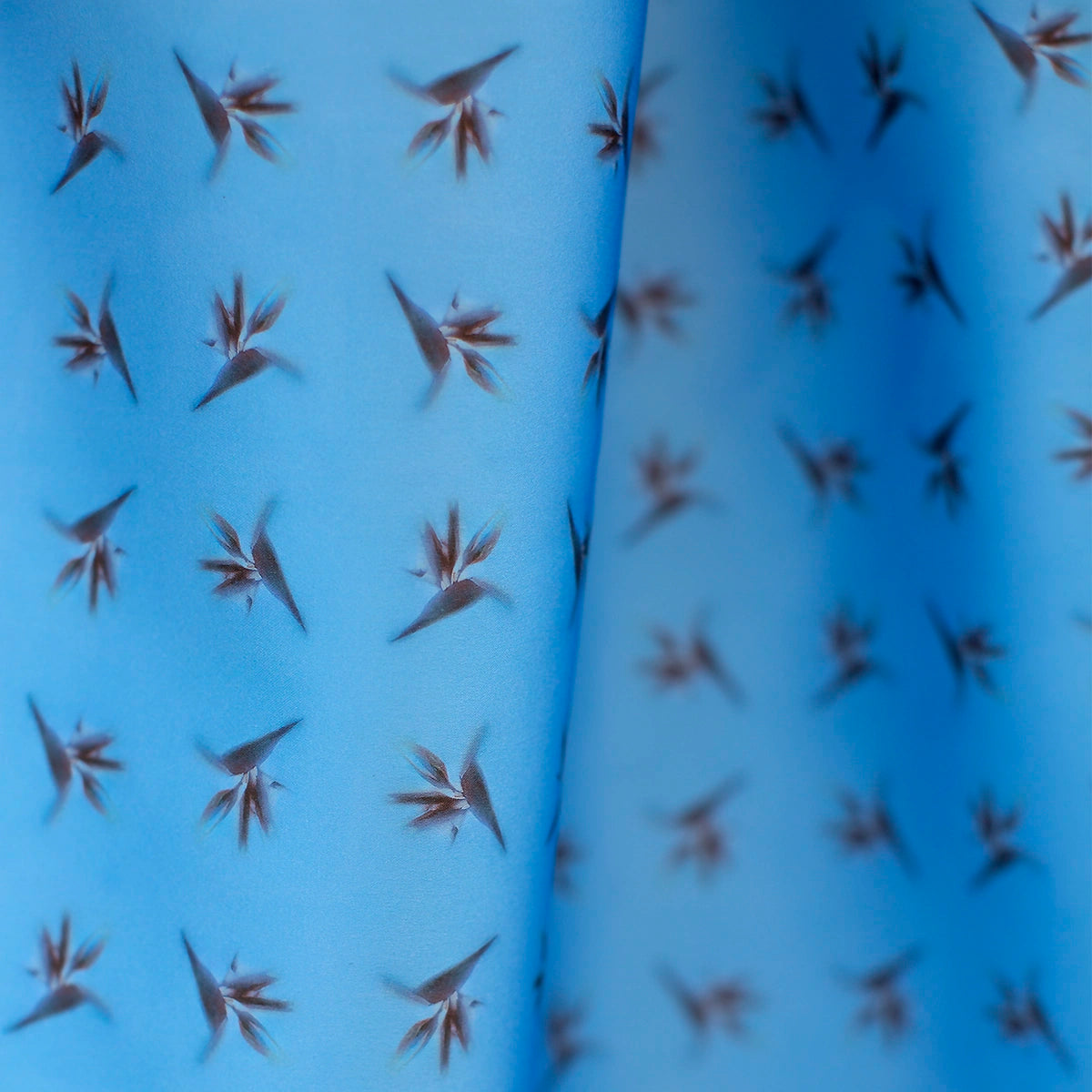 Silk Twill Double-Sided Scarf | Bird of Paradise—Blue