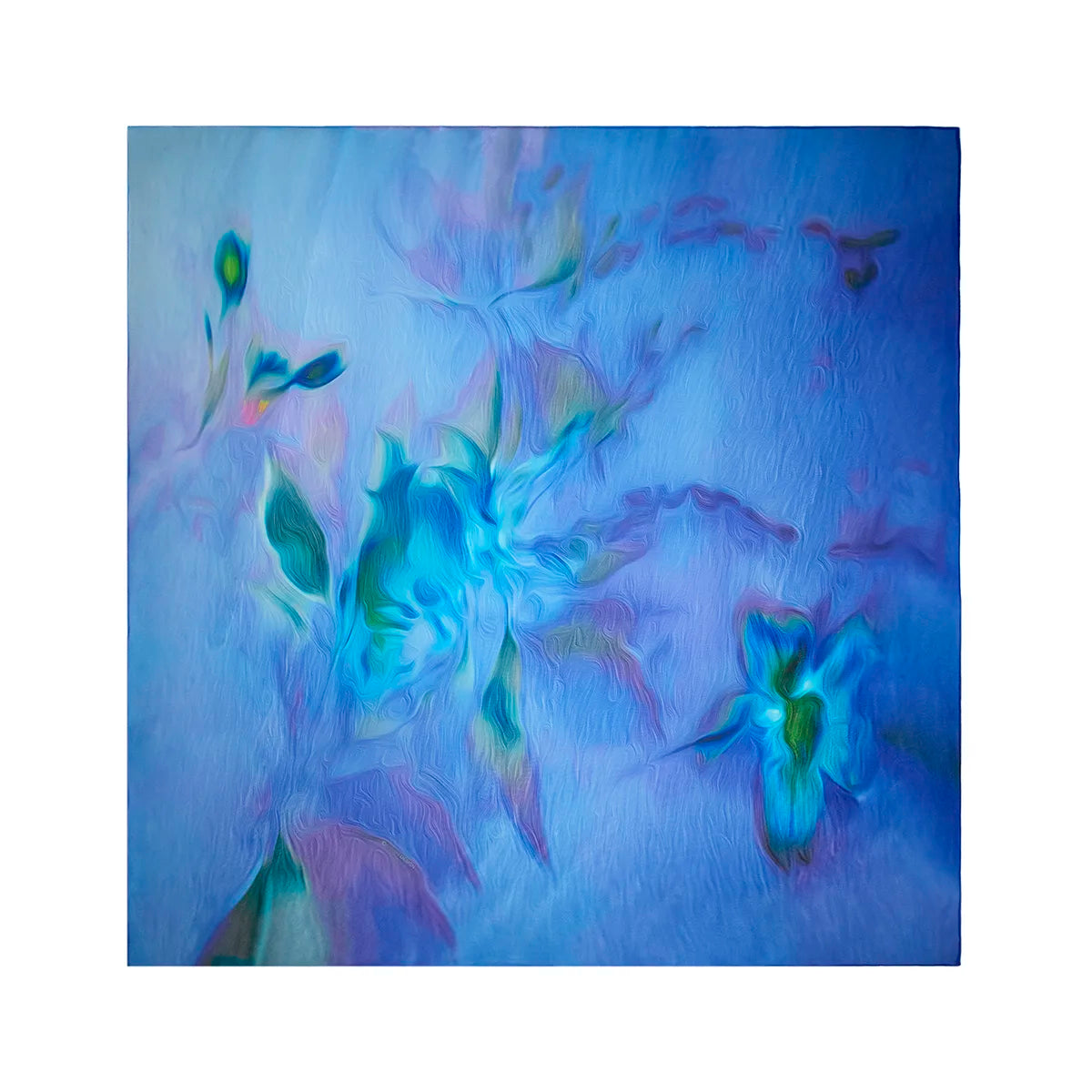 Silk Chiffon Scarf | Rosewood—Blue