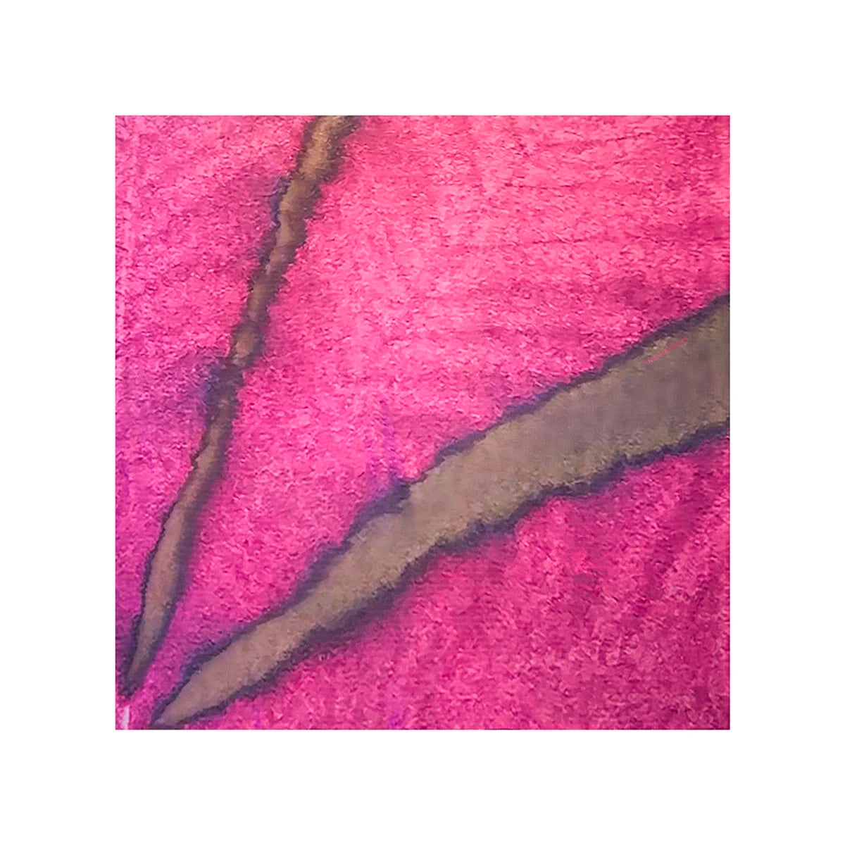 Silk Twill Double-Sided Scarf | Buckeye Leaf—Original