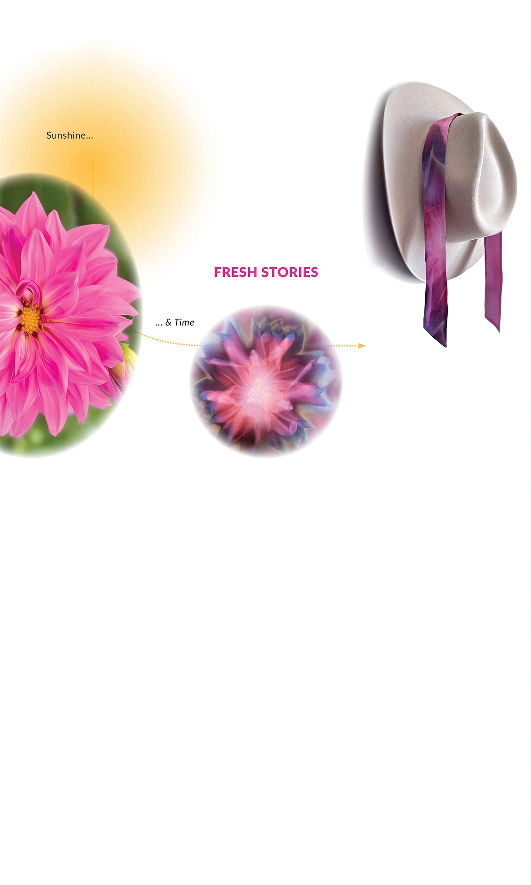 ND_Process-Sq_Dahlia_03_Sep25_Mobile.webp